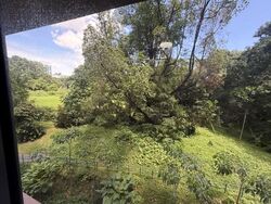 Blk 227C ParkEdge @ Bidadari (Toa Payoh), HDB 4 Rooms #573744141